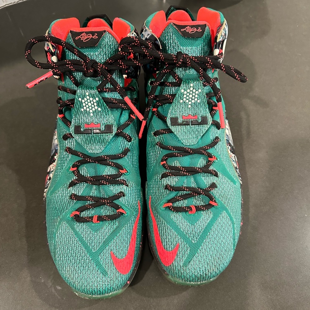 Nike LeBron 12 Akron Birch Sneakers Size 11.5